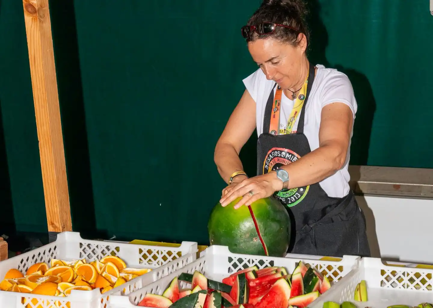 Alimentación para la SDS (23 Km)
